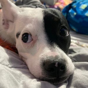 Meet your Posher, Maelynn